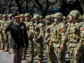 diadelarma(16)