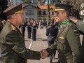 diadelarma(43)