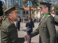diadelarma(48)