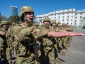 diadelarma(78)