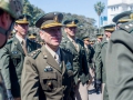 diadelarma(88)