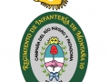 ESCUDO DEL RIM 10