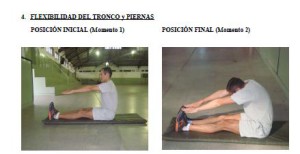 5 Flexibilidad tronco y piernas